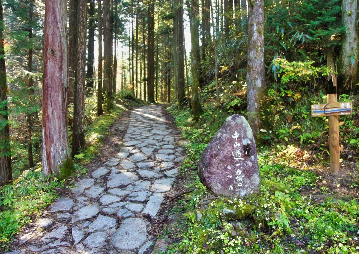 stone path in forest