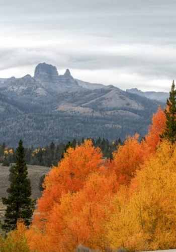 photo from Wind River Wyoming Cycling