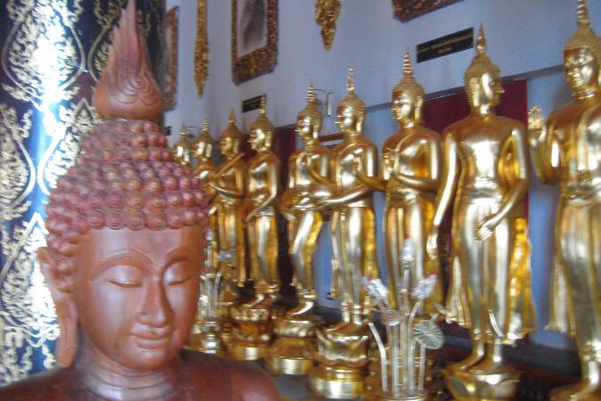 statues of Buddha lined up in temple