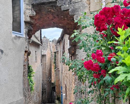 roses in sarlat city