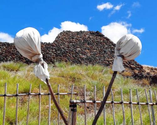 kapu poles at Pu'ukohala Heiau