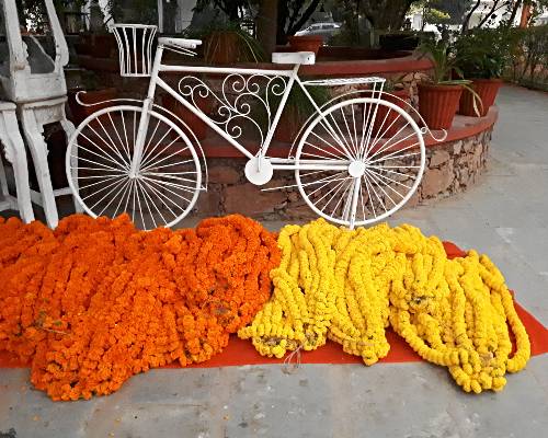 bicycle surrounded by flower garlands