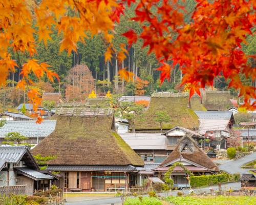 fall foliage color Miyama village