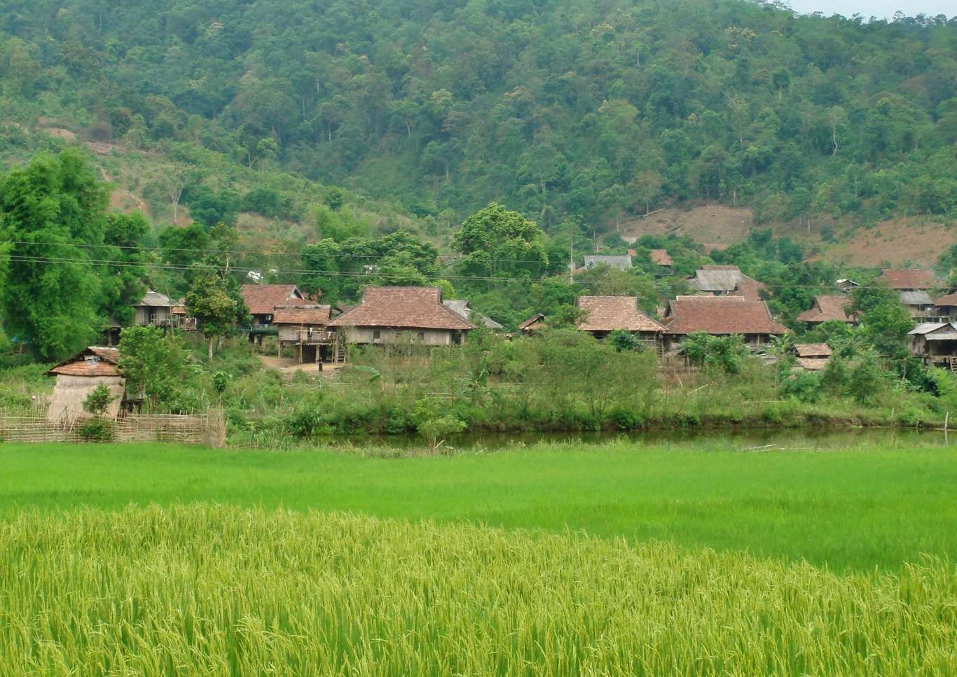 village scenery along walk